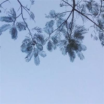 兵临乱世游戏