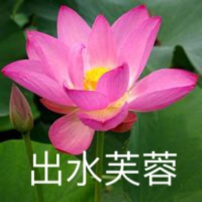 太阳系争夺战3vivo版下载